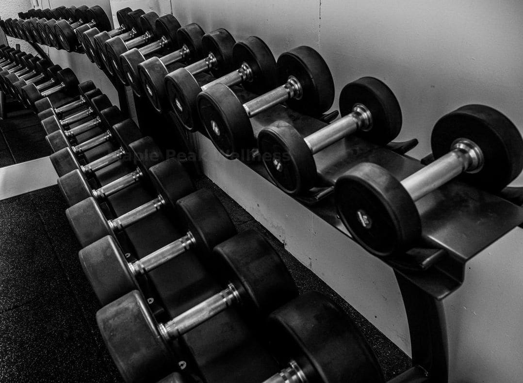Corporate wellness programs
